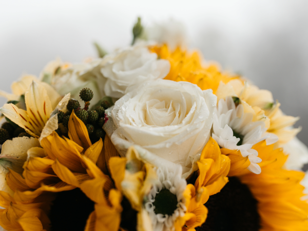 Blog post image